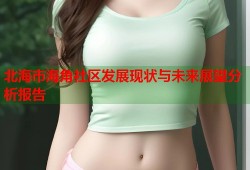 北海市海角社区发展现状与未来展望分析报告