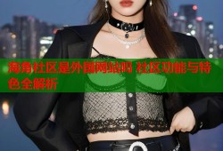 海角社区是外国网站吗 社区功能与特色全解析