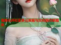 海角石井社区多元发展与文化融合新篇章