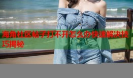海角社区帖子打不开怎么办快速解决技巧揭秘