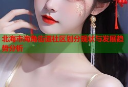 北海市海角街道社区划分现状与发展趋势分析