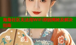 海角社区无法用WiFi原因揭秘及解决指南