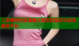 三亚儋州社区海角火情实时监控与应急服务平台