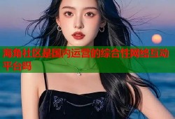 海角社区是国内运营的综合性网络互动平台吗