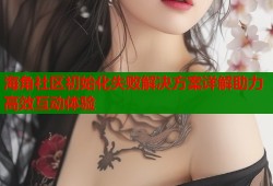 海角社区初始化失败解决方案详解助力高效互动体验