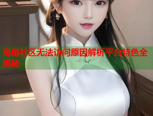 海角社区无法访问原因解析平台特色全揭秘