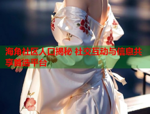 海角社区人口揭秘 社交互动与信息共享首选平台