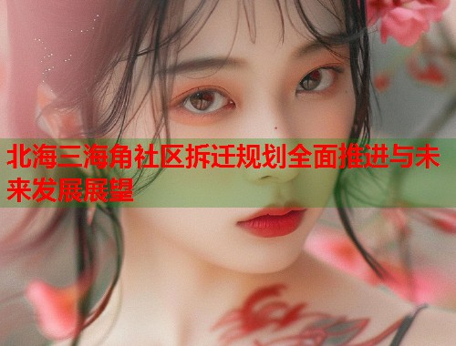 北海三海角社区拆迁规划全面推进与未来发展展望
