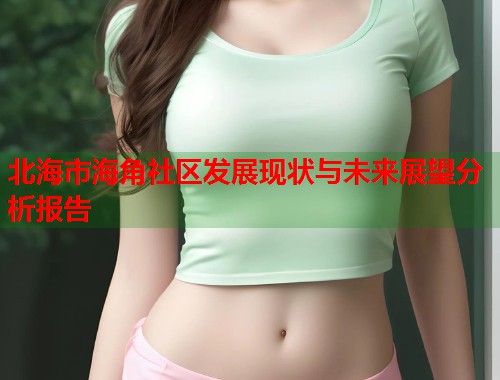 北海市海角社区发展现状与未来展望分析报告